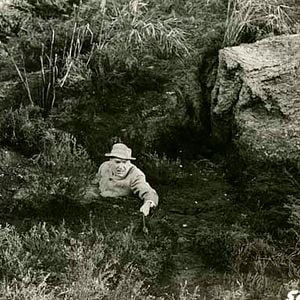 Foto O Cão dos Baskervilles