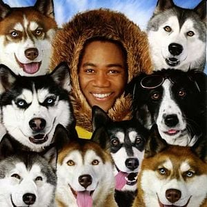 Foto Neve pra Cachorro