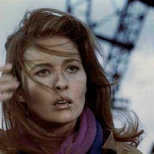 Foto Uma Casa Sob as Árvores