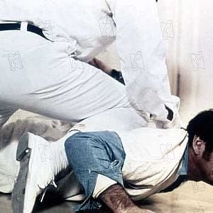 Foto Um Estranho no Ninho