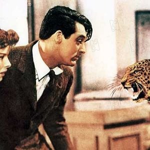 Foto Levada da Breca