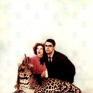 Foto Levada da Breca