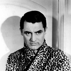 Foto Levada da Breca