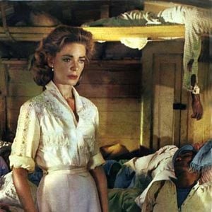 Foto Sangue Sobre a Índia