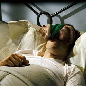 Foto Alvin e os Esquilos