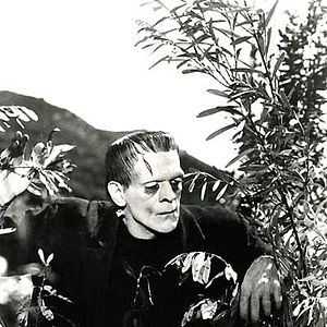 Foto Frankenstein