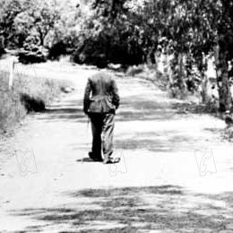 Foto O Grande Ditador