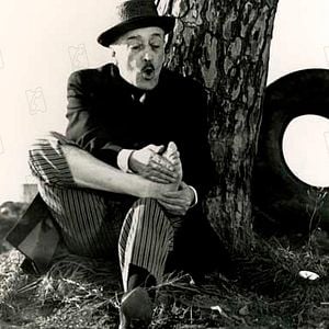 Foto Gaviões e Passarinhos