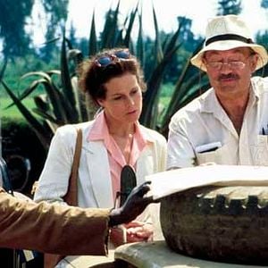 Foto Nas Montanhas dos Gorilas