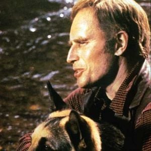 Foto Call of the Wild