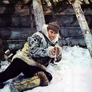 Foto Call of the Wild