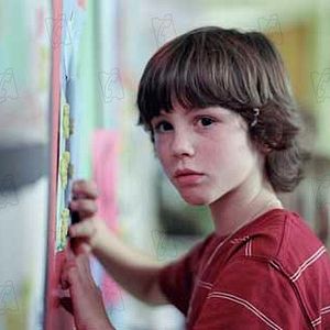 Foto Efeito Borboleta