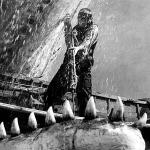 Foto Moby Dick