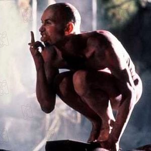 Foto Peter Greenaway