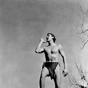 Foto Tarzan, o Filho das Selvas