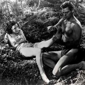 Foto Tarzan, o Filho das Selvas