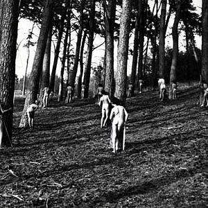 Foto A Guerra dos Botões