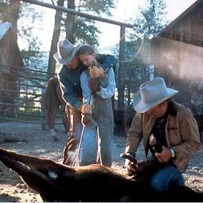 Foto O Encantador de Cavalos