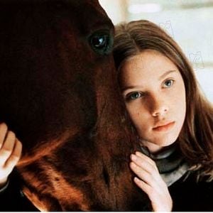 Foto O Encantador de Cavalos