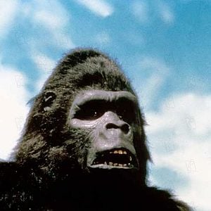 Foto King Kong 2