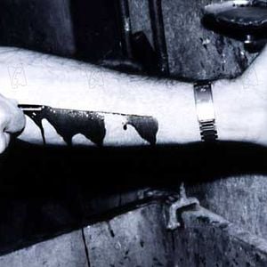 Foto George A. Romero