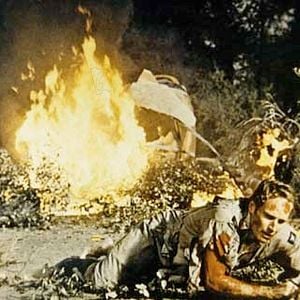 Foto A Última Esperança da Terra