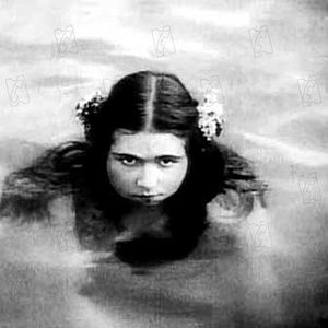 Foto The Pleasure Garden