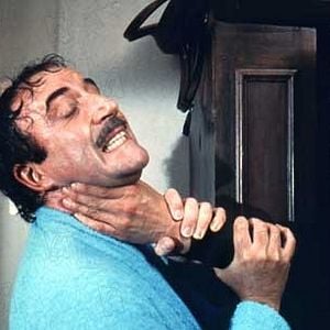 Foto A Volta da Pantera Cor de Rosa