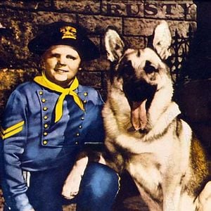 Foto As Aventuras de Rin Tin Tin
