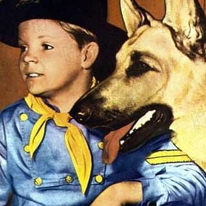 Foto As Aventuras de Rin Tin Tin