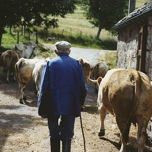Foto Perfis Camponeses - A Vida Moderna