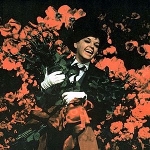 Foto Nasce uma Estrela