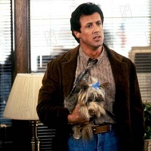 Foto Roger Spottiswoode