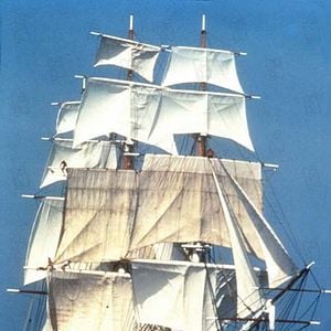 Foto O Pirata da Barba Amarela