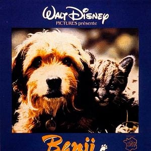 Foto Benji - Um Cão Desafia a Selva