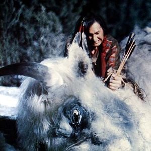 Foto O Grande Búfalo Branco