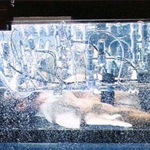 Foto X-Men Origens: Wolverine