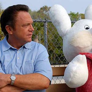 Foto O Ano em que nos Conhecemos