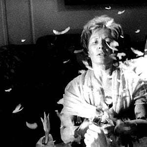 Foto O Anjo Exterminador