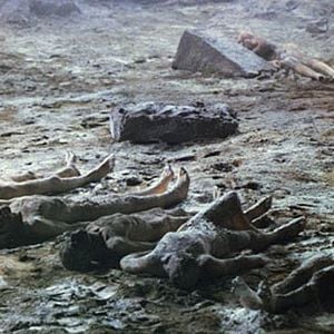 Foto Terror nas Trevas