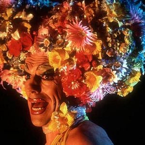 Foto Priscilla, a Rainha do Deserto