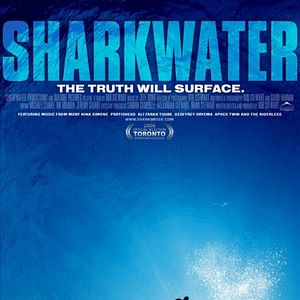 Foto Sharkwater