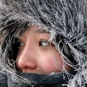 Foto Loup - Uma Amizade para Sempre