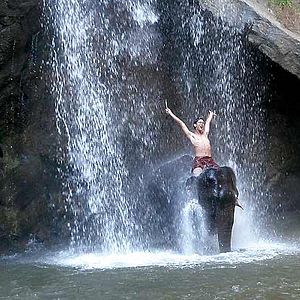 Foto A Floresta de Bronze