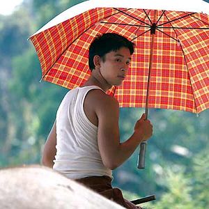 Foto A Floresta de Bronze