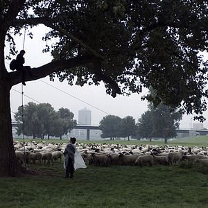 Foto Palermo Shooting