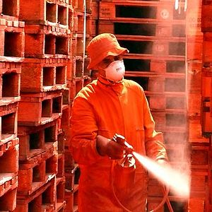 Foto Rabah Ameur-Zaïmeche