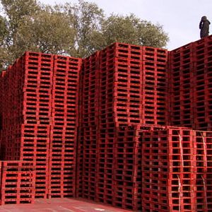 Foto Rabah Ameur-Zaïmeche