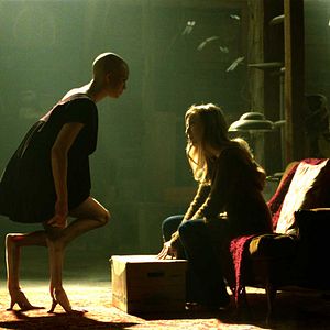 Foto Splice - A Nova Espécie