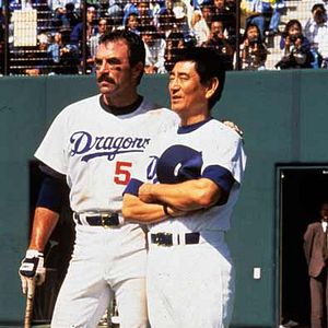 Foto Um Peixe Fora d'Água